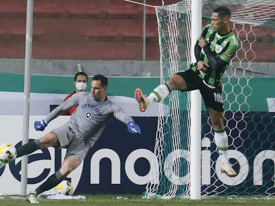 Imagem do artigo:Gatito aprova desempenho do Botafogo no 2º tempo contra o América-MG