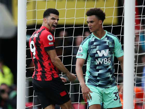 Article image:Bournemouth earn vital victory over Fulham after late Dominic Solanke strike
