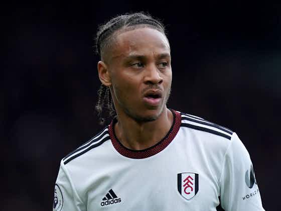 Article image:Bobby De Cordova-Reid stunner sees Fulham beat Rotherham in FA Cup