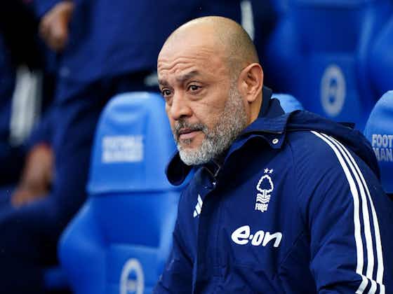 Article image:Why always us? Nuno Espirito Santo bemoans another decision going against Forest