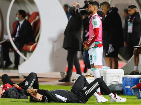 Image de l'article :Algérie : le nouveau président de la FAF enterre le recours pour la Coupe du monde !