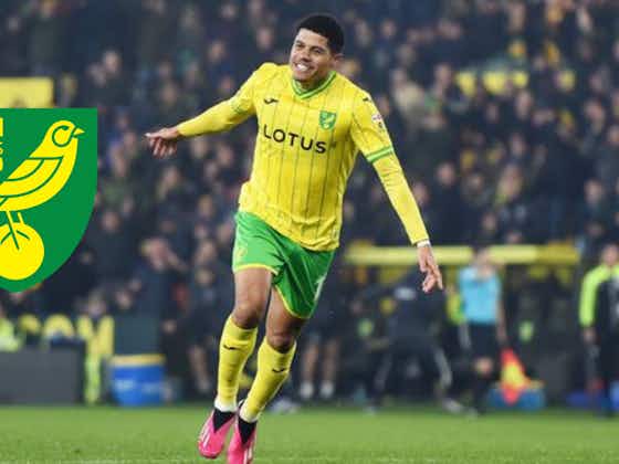 Article image:Gabriel Sara claims on Norwich City future should ease concern but U-Turn would be no surprise: View