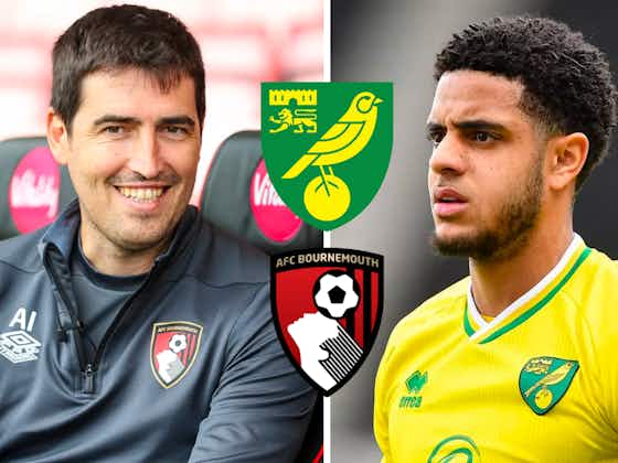 Article image:Bournemouth plotting move for Norwich centre-back amid Burnley, Sheff Utd and Nottingham Forest interest