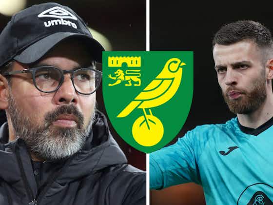Article image:Norwich City latest: David Wagner prediction ahead of Middlesbrough, Shane Duffy’s Leeds United admission, Angus Gunn injury