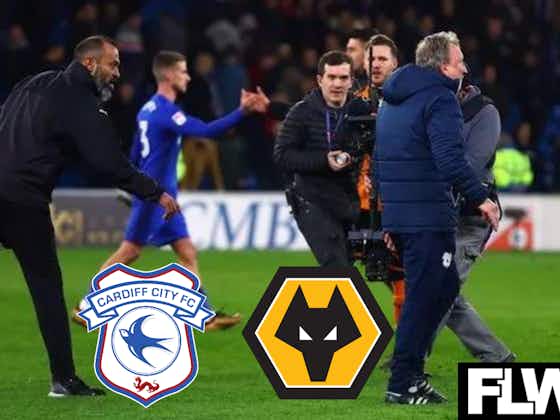 Article image:This Cardiff City v Wolves flashpoint is the most iconic Championship moment since Troy Deeney's play-off heroics: View