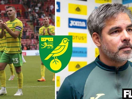 Article image:"The manager can't..." - Norwich midfielder issues honest verdict after third straight home loss