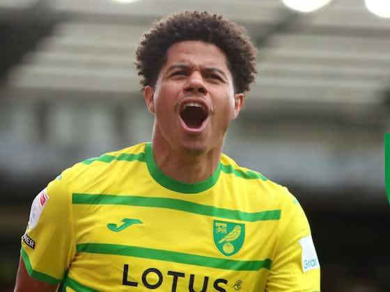 Article image:Norwich City star Gabriel Sara makes Ipswich Town admission ahead of derby