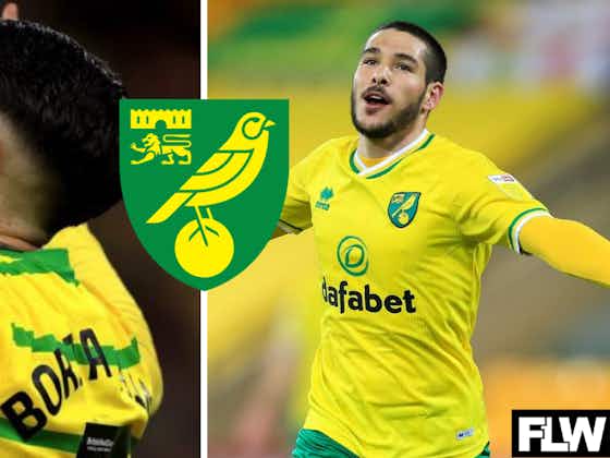 Article image:Norwich City have a potential Emi Buendia-esque star emerging at Carrow Road: View