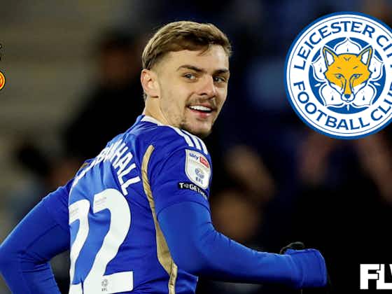 Article image:Tottenham revelation emerges as Man Utd join Brighton in race for Leicester City star