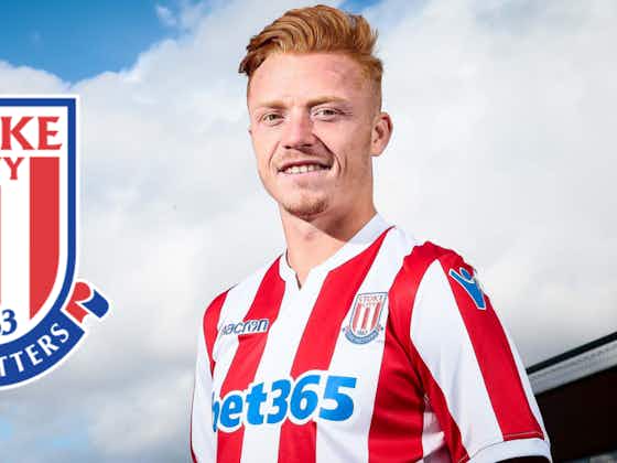 Article image:Stoke City: £7 million transfer did not pay off: View