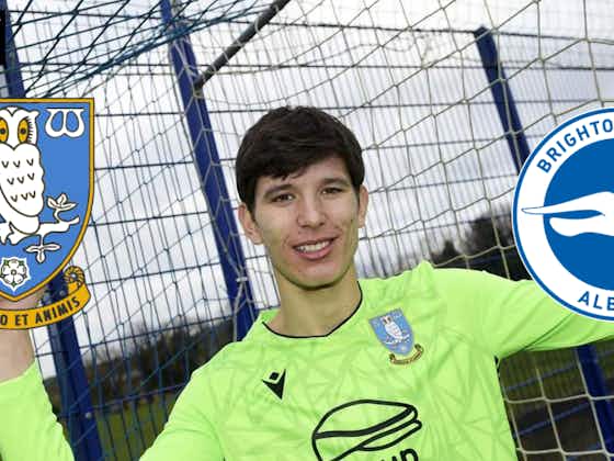 Article image:Sheffield Wednesday should already be thrashing out fresh Brighton transfer agreement: View