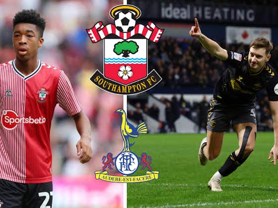 Article image:Tottenham may have handed Southampton FC ideal David Brooks replacement: View