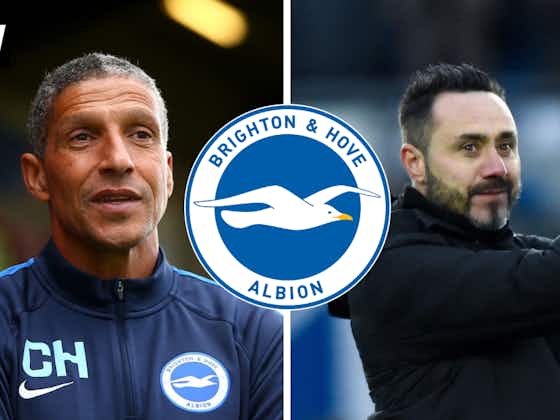 Article image:Brighton and Hove Albion owe a lot to big EFL decision involving Chris Hughton: View