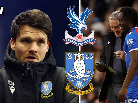 Article image:Sheffield Wednesday could look to Crystal Palace to revitalise midfield this summer: View