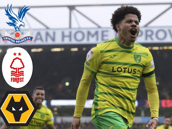 Article image:Crystal Palace, Nottingham Forest and Wolves keen on Norwich City star