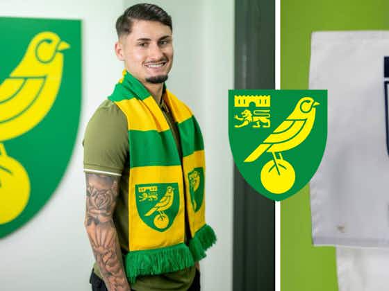 Article image:Revealed: How much Norwich City paid in agents fees this season