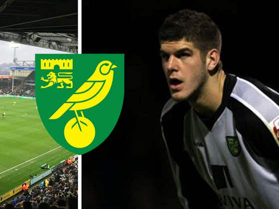 Article image:Newcastle United deal proved a masterstroke for Norwich City: View