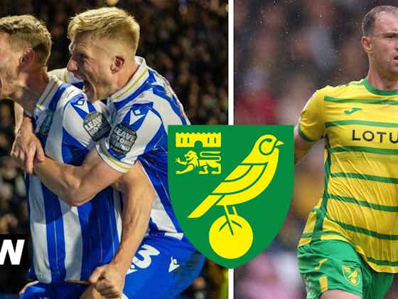 Article image:“Hard to accept” - Ashley Barnes sends honest Norwich City message after Sheffield Wednesday draw