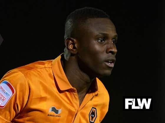 Article image:The £3m Wolves man whose signing was an absolute disaster: View