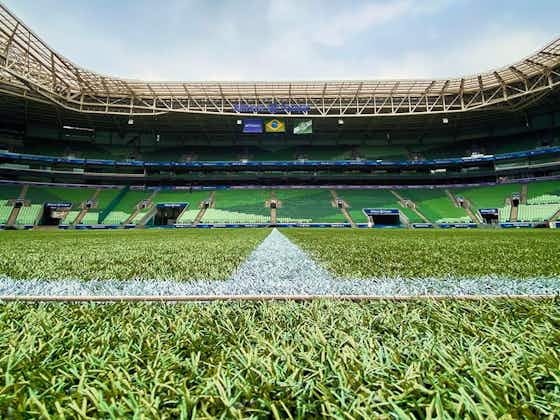 Imagem do artigo:Com base em estudo, Palmeiras comprova baixo número de lesões após gramado sintético