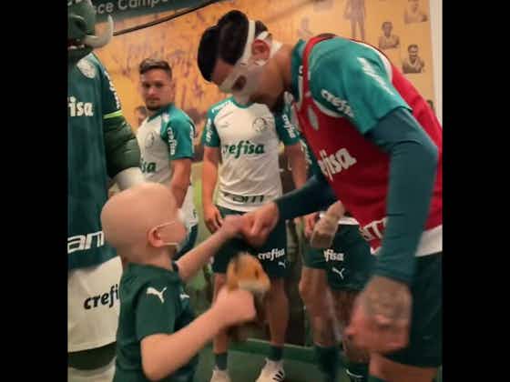 Imagen del artículo:El gran gesto del Palmeiras con un niño que lucha contra una dura enfermedad