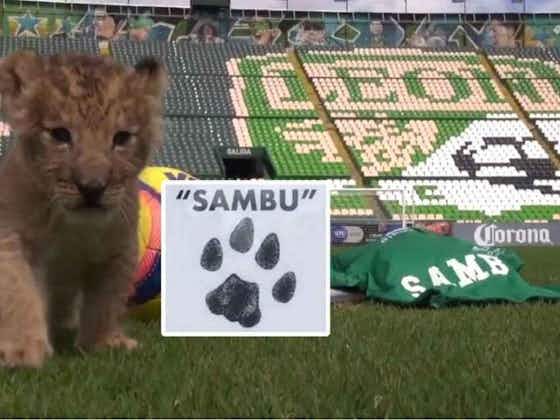 Article image:🎥 Club León has the cutest mascot we've ever seen