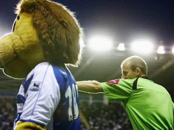 Article image:📸 Mascot gets sent off in Ireland for hilarious reason 🐶