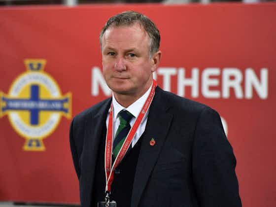 Article image:Stoke City confirm Michael O'Neill as new manager