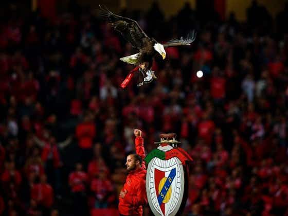 Image de l'article :Coronavirus : Benfica réalise un don d'un million d'euros
