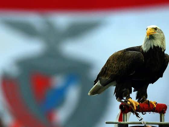 Image de l'article :📽Un aigle vous fait visiter le stade de Benfica !
