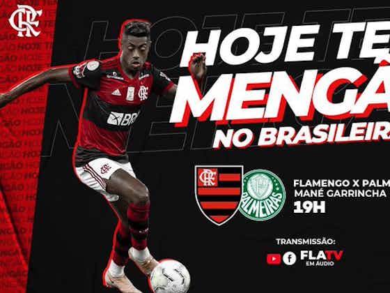 Imagen del artículo:¿Dónde ver en vivo Flamengo vs Palmeiras por el Brasileirao?