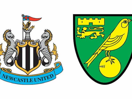 Article image:Please give us your Newcastle v Norwich player ratings after the 1-1 draw