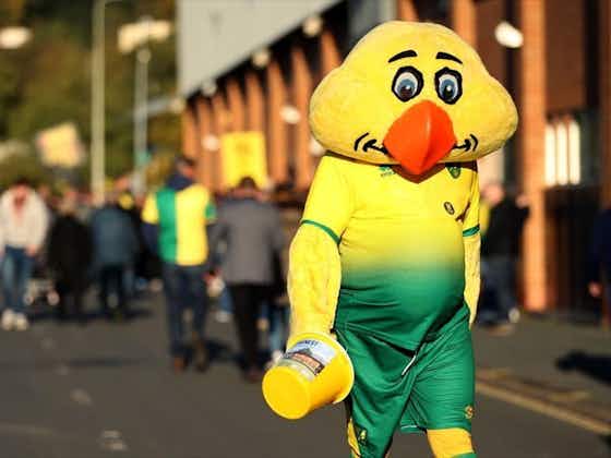 Article image:Norwich City give official injury and fitness update for Newcastle United match