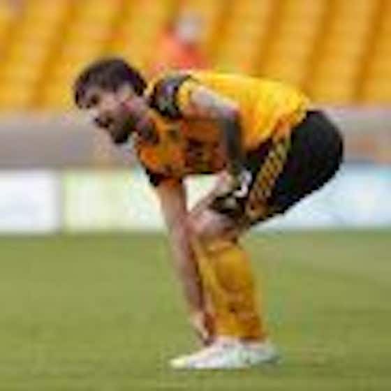 Article image:Wolves handed Ruben Neves injury boost