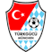 Logo: Türkgücü München