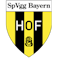 Logo: Bayern Hof