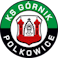 Logo: Polkowice