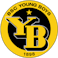 Logo: BSC Young Boys
