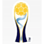Copa do Mundo Sub-20