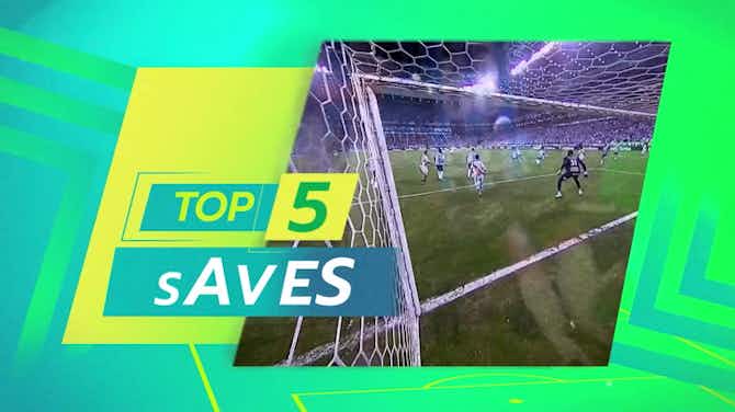 Preview image for Brasileirao’s top five saves of the 2023 season