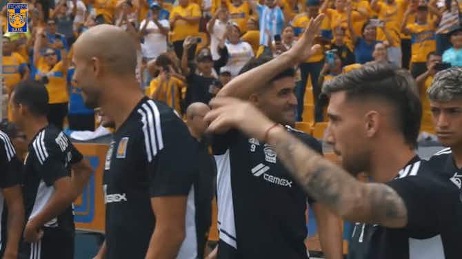 Preview image for Tigres fans go wild in the last training before the final