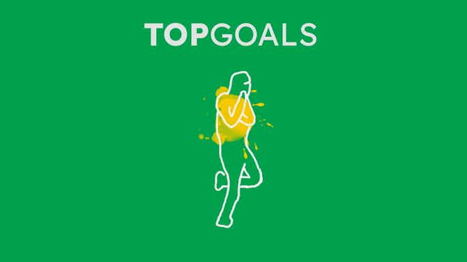 Anteprima immagine per Top Goals: Jurijs Zigajevs