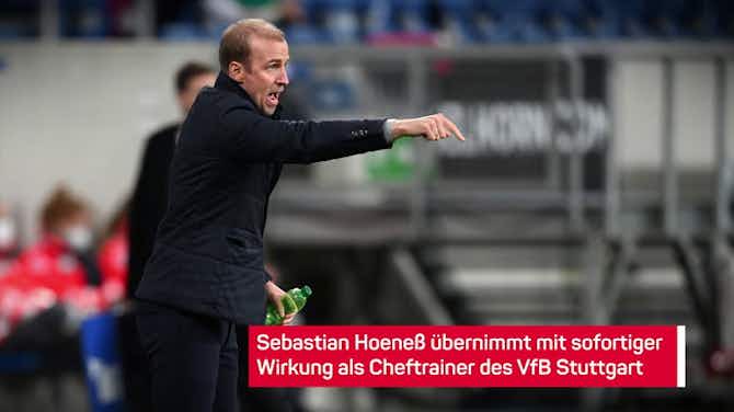 Vorschaubild für Hoeneß ersetzt Labbadia beim VfB Stuttgart