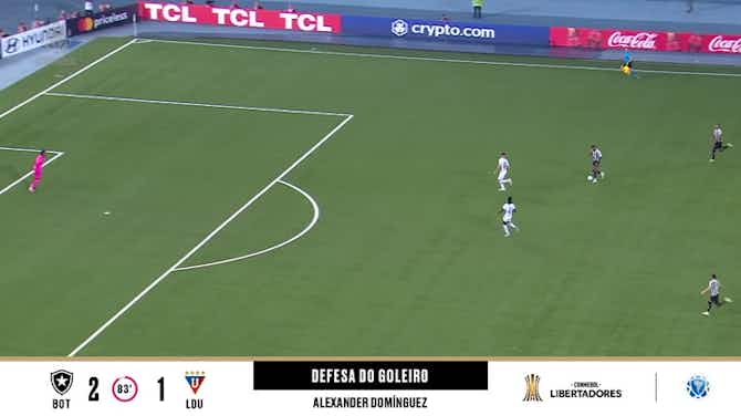 Imagem de visualização para Botafogo - LDU 2 - 1 | DEFESA DO GOLEIRO - Alexander Domínguez