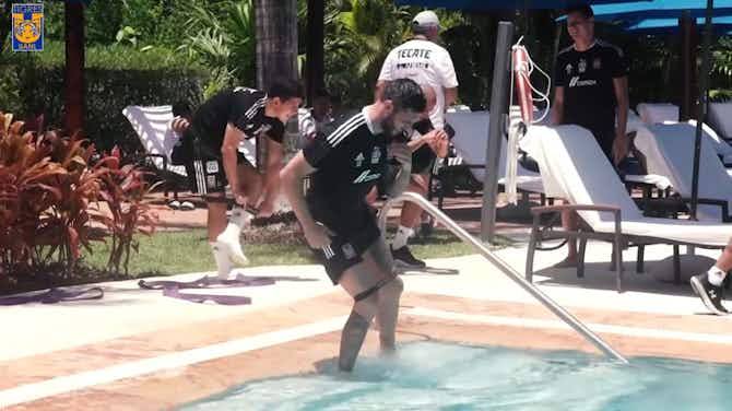 Vorschaubild für Tigres' pool workout in Cancún