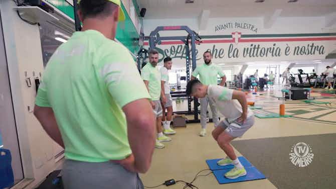 Imagem de visualização para Palmeiras se reapresenta e treina de olho no Fluminense