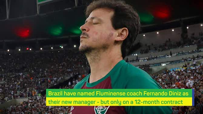 Preview image for Breaking News: Diniz lands Brazil coach role