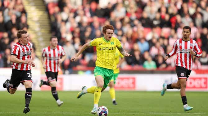Preview image for Norwich City player suffers major injury worry in World Cup clash