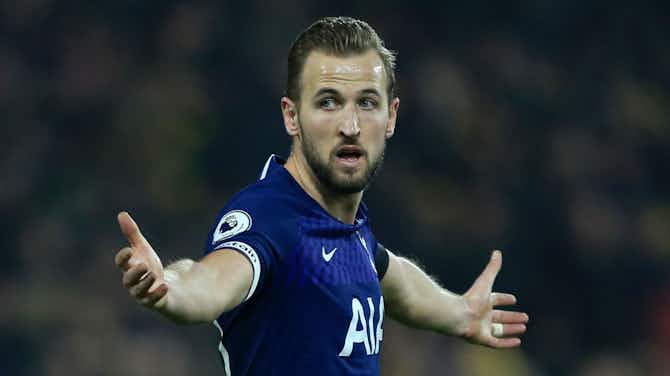 Preview image for Harry Kane will be thinking about move, says Berbatov