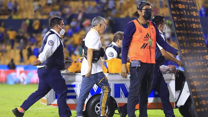 Preview image for Miguel Herrera confirms André-Pierre Gignac injury